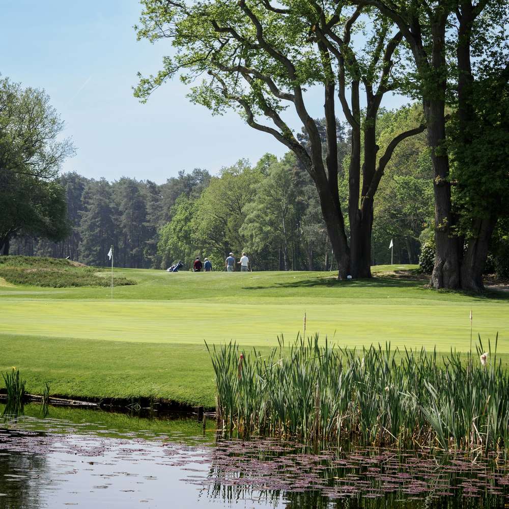 A tree-lined parkland golf course with a pond in the foreground